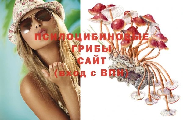 спайс Кинешма