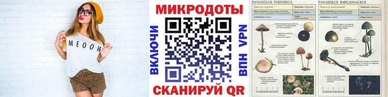 Галлюциногенные грибы MAGIC MUSHROOMS  Краснозаводск 